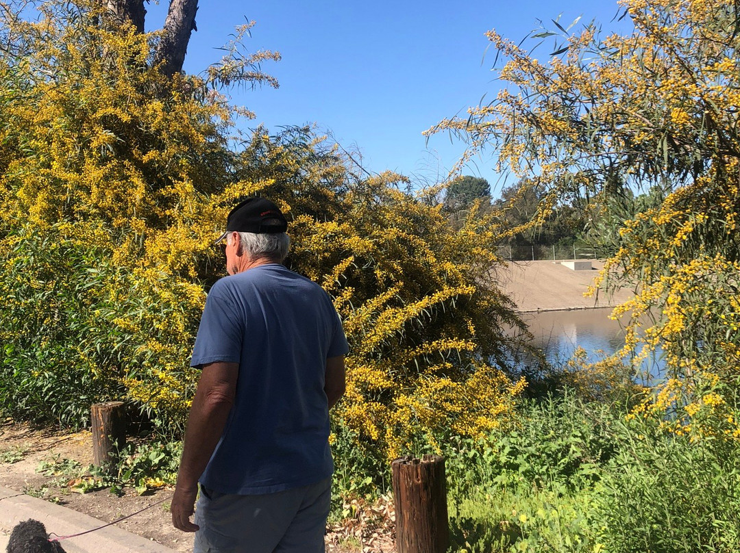 Laguna Niguel Regional Park-拉古纳尼格必去景点