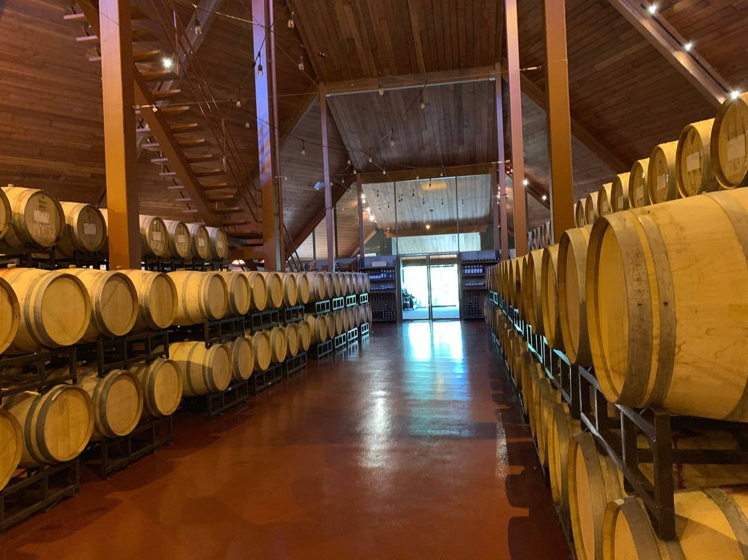 Chappellet Winery景点图片