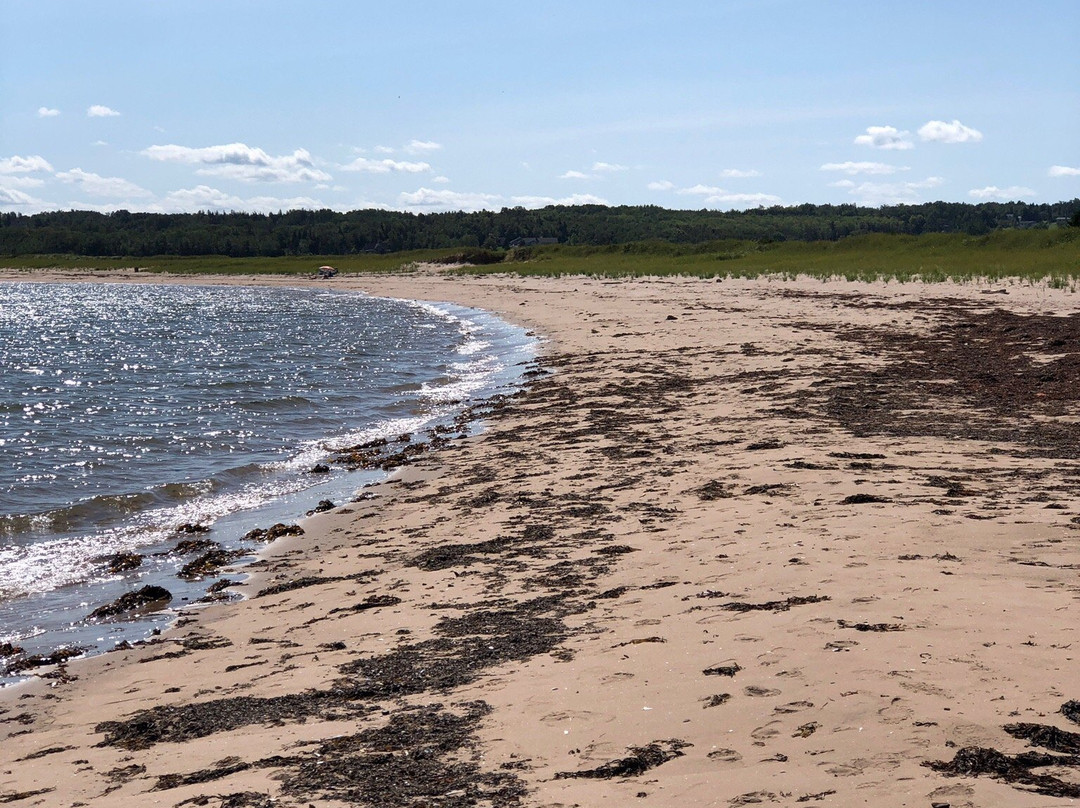 Melmerby Beach Provincial Park-Little Harbour必去景点