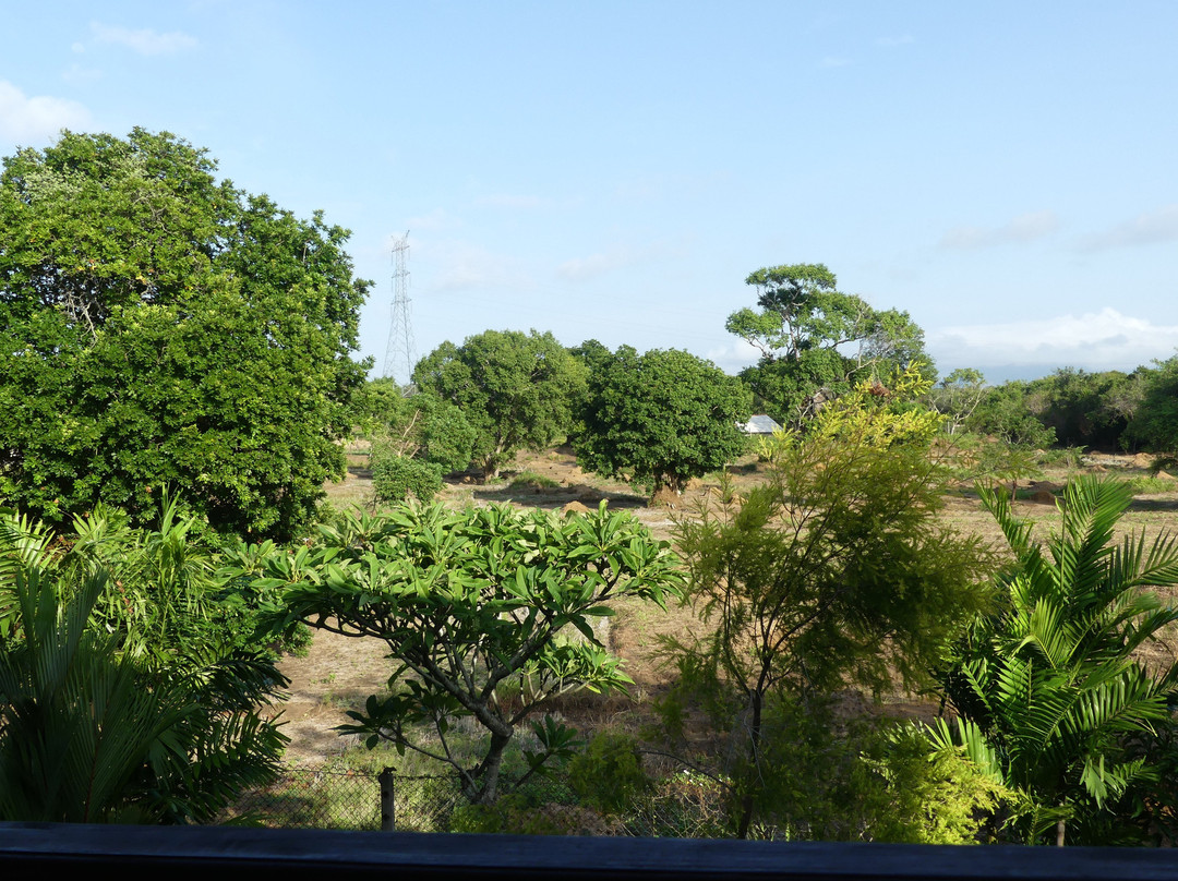 Sungreen Resort Habarana主图