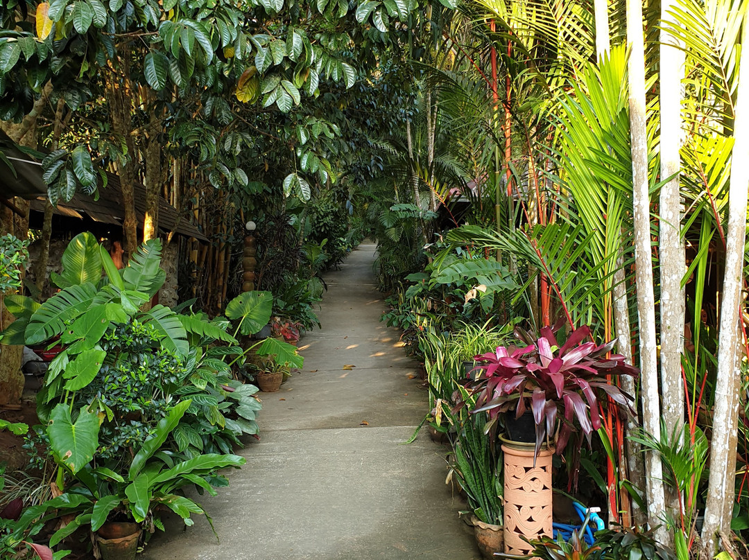 Khao Sok Las Orquideas Resort主图