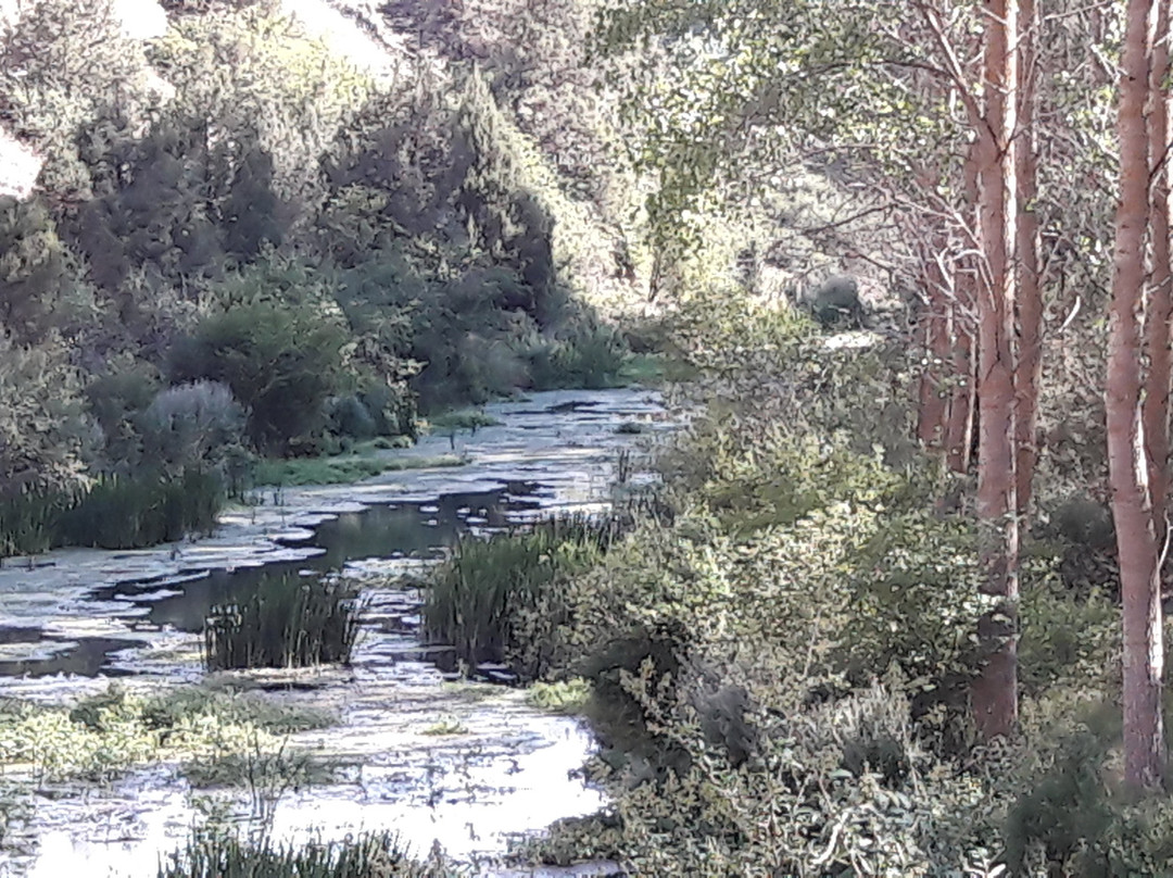 Nacimiento Rio Ucero景点图片