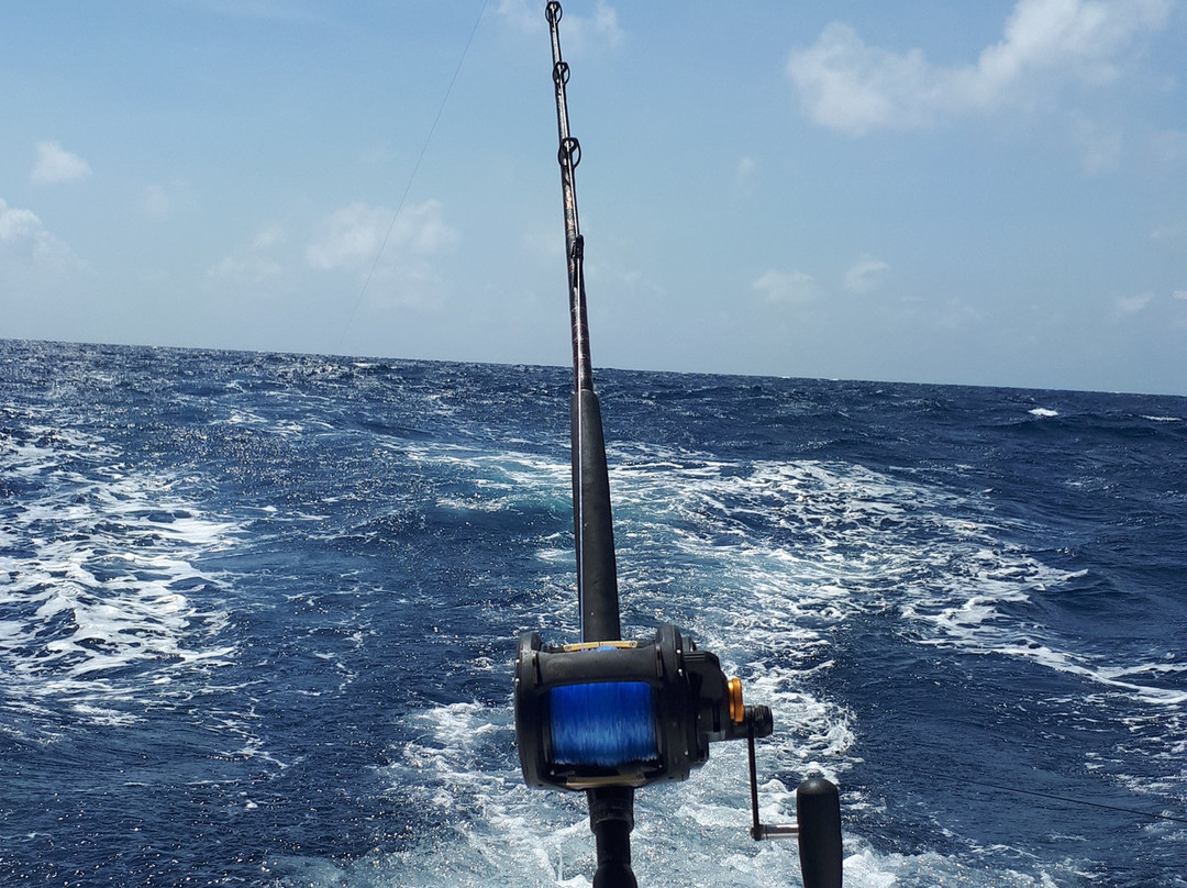 Fish Charter Curacao-威廉斯塔德必去景点