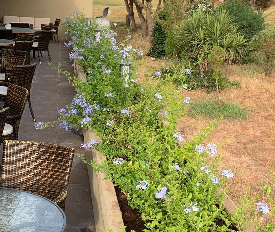 Golf Club of Lebanon-贝鲁特必去景点