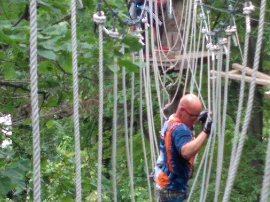 Frankenmuth Aerial Park-弗兰肯默斯必去景点