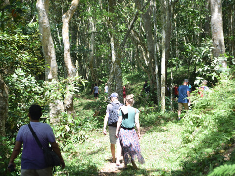 John Rinjani Trekking
