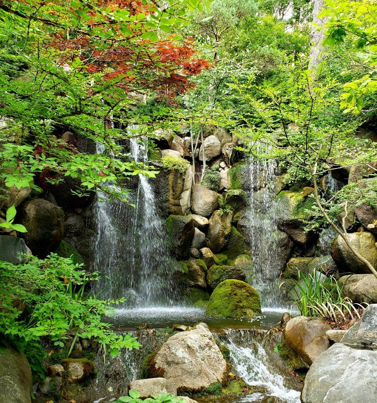 Anderson Japanese Gardens景点图片