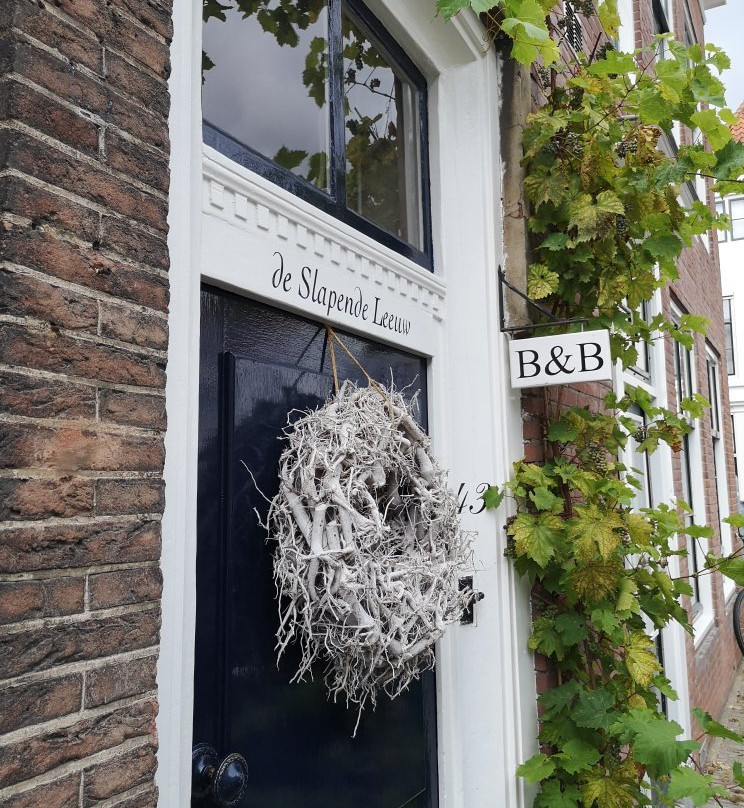 De Slapende Leeuw主图