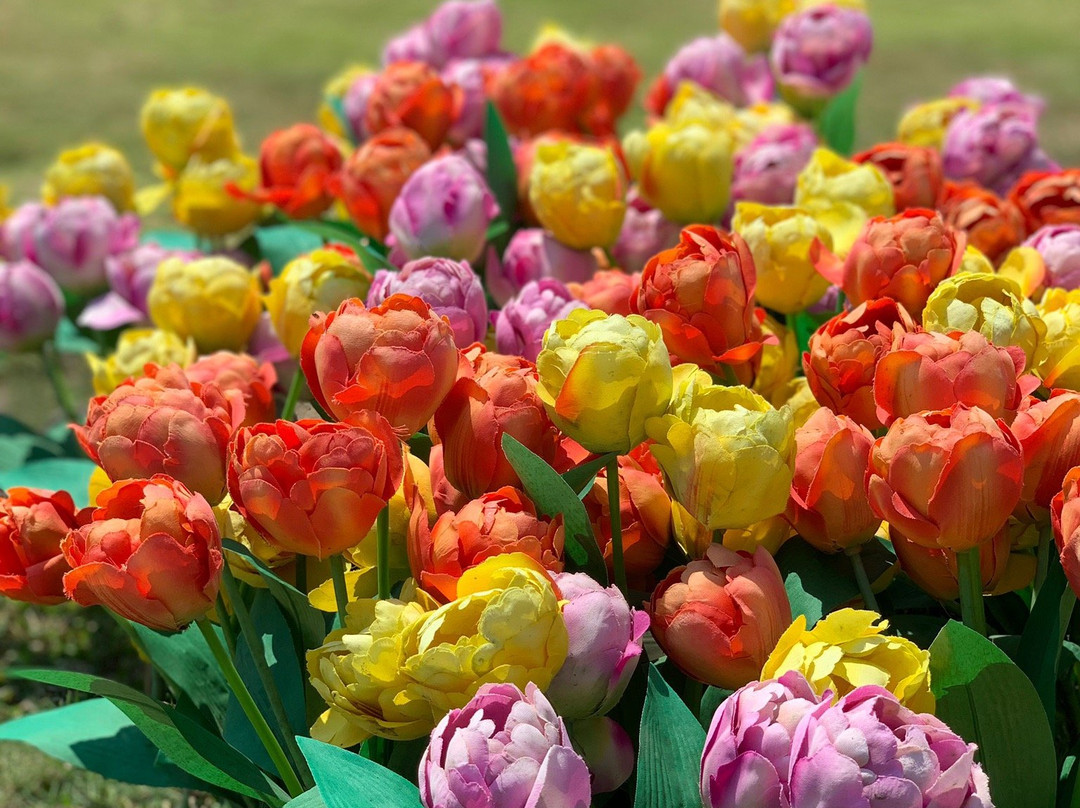 Merapi Park-日惹必去景点