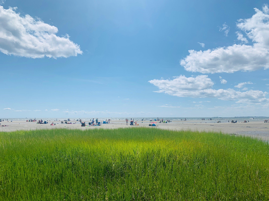 Harvey's Beach-旧塞布鲁克必去景点