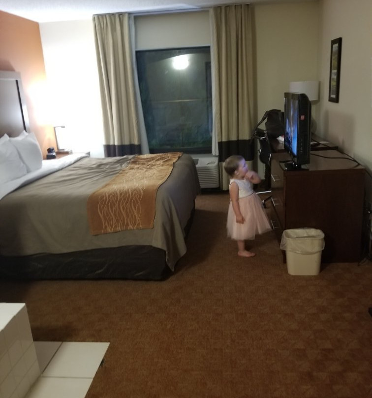 Comfort Inn & Suites at I-85主图