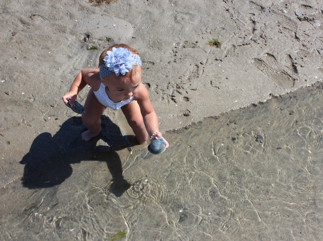 Chatham Boat Tours-查塔姆必去景点