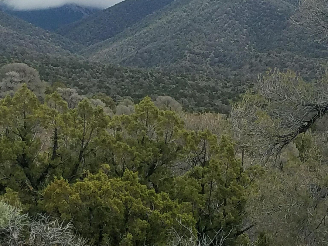 卡森谷旅馆主图