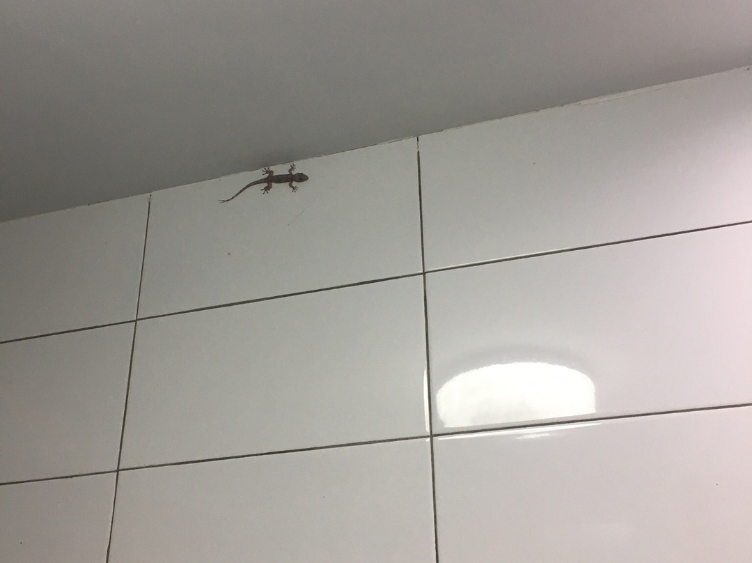 Tiara Bunga Hotel & Villa主图