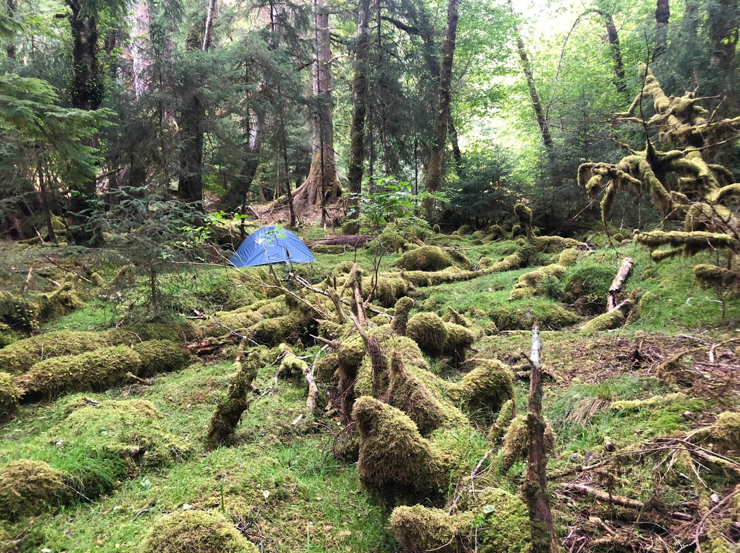 Green Coast-Daajing Giids必去景点