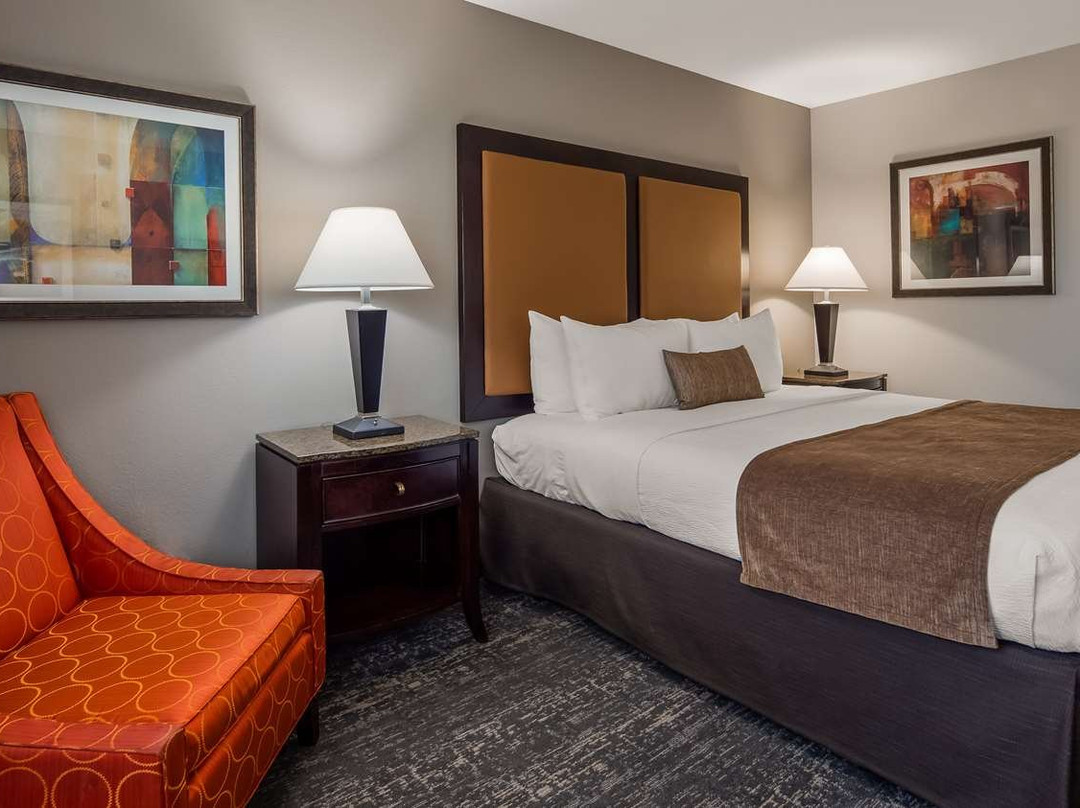 Best Western Plus Vineyard Inn主图