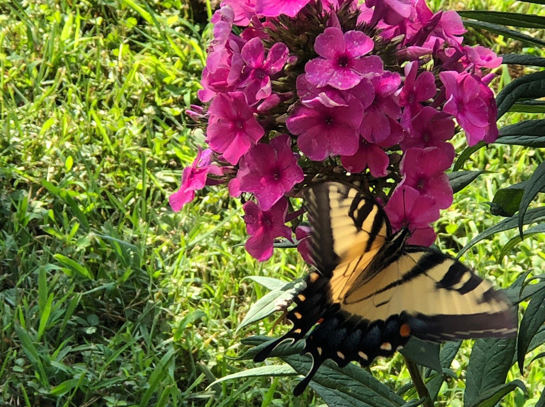 Cardinal Point Vineyard and Winery-Afton必去景点