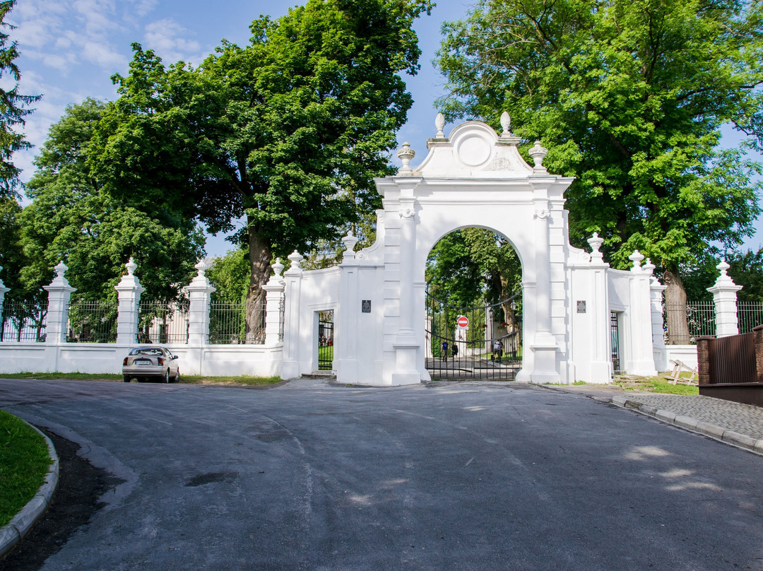 Vishnevetskikh Palace-Vishnevets必去景点
