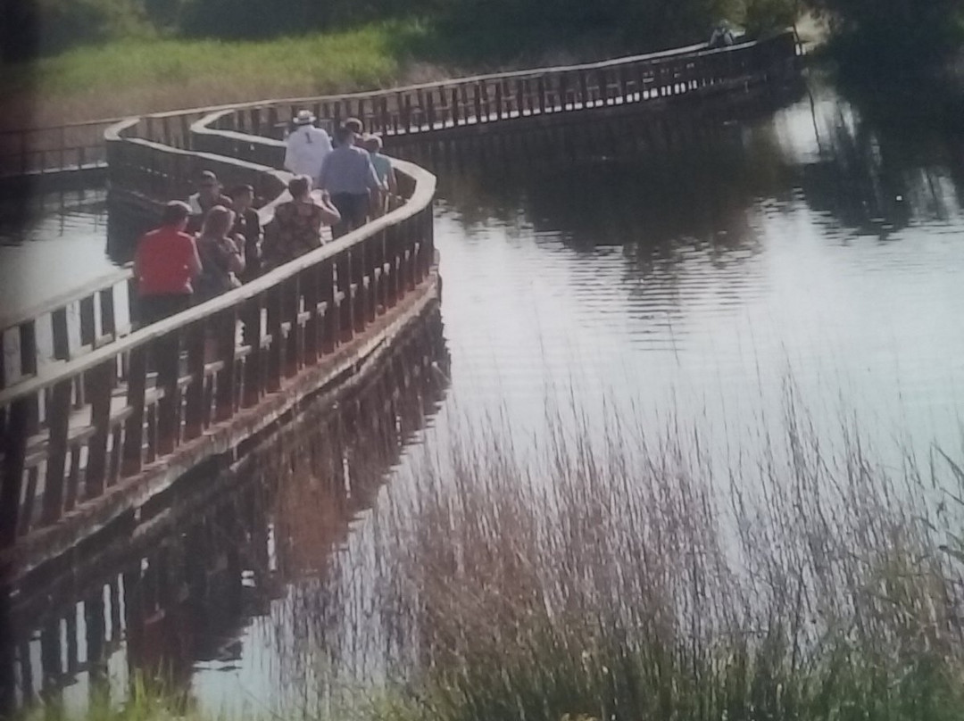 Parque Nacional de las Tablas de Daimiel景点图片