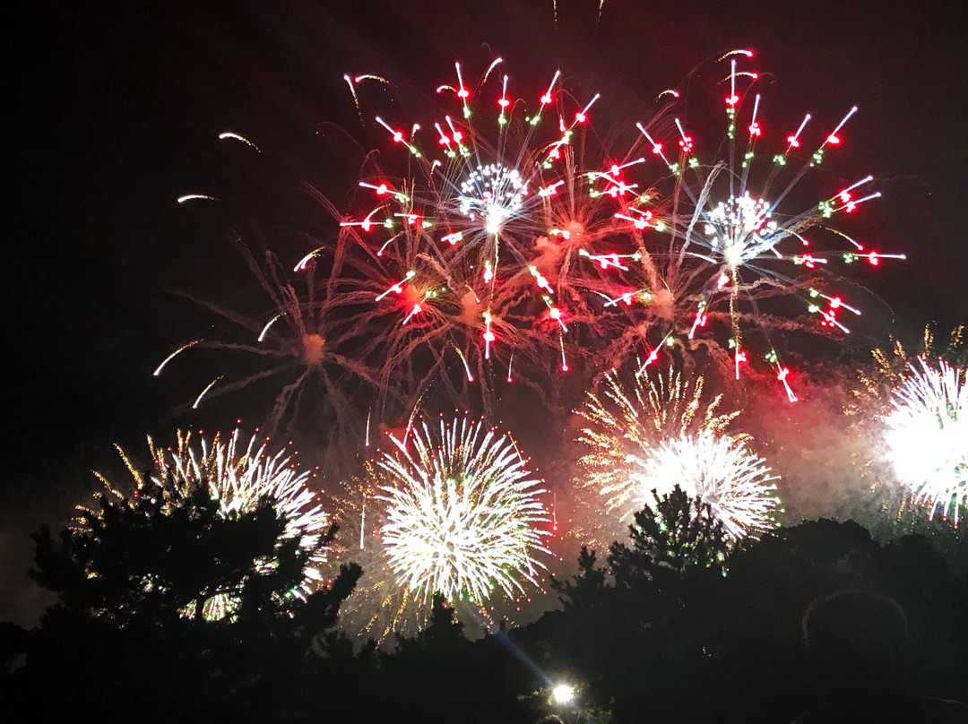 Edogawa Fireworks-江戸川区必去景点