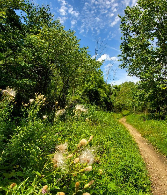Fort Harrison State Park-印第安纳波利斯必去景点