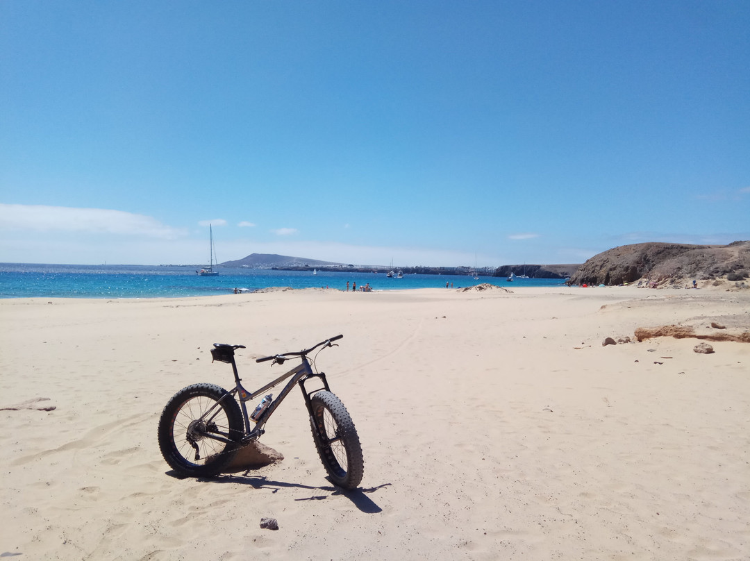 Emotion Fat Bikes-布兰卡滩必去景点