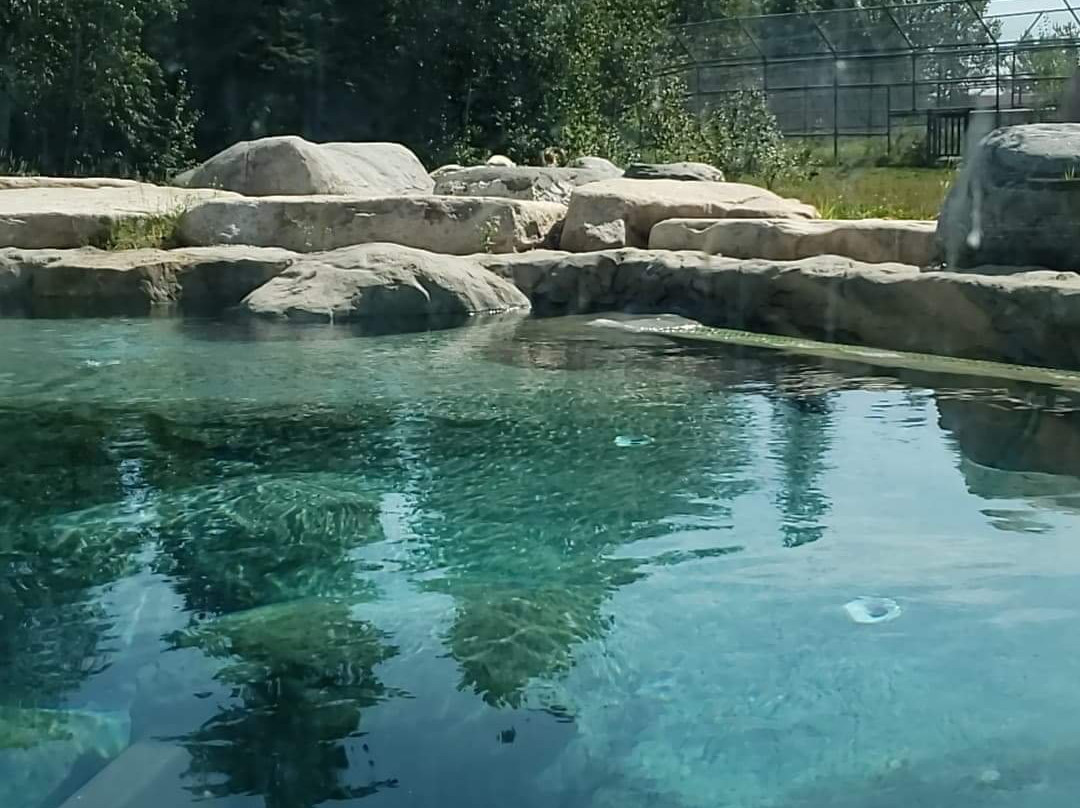 Cochrane旅游攻略图片