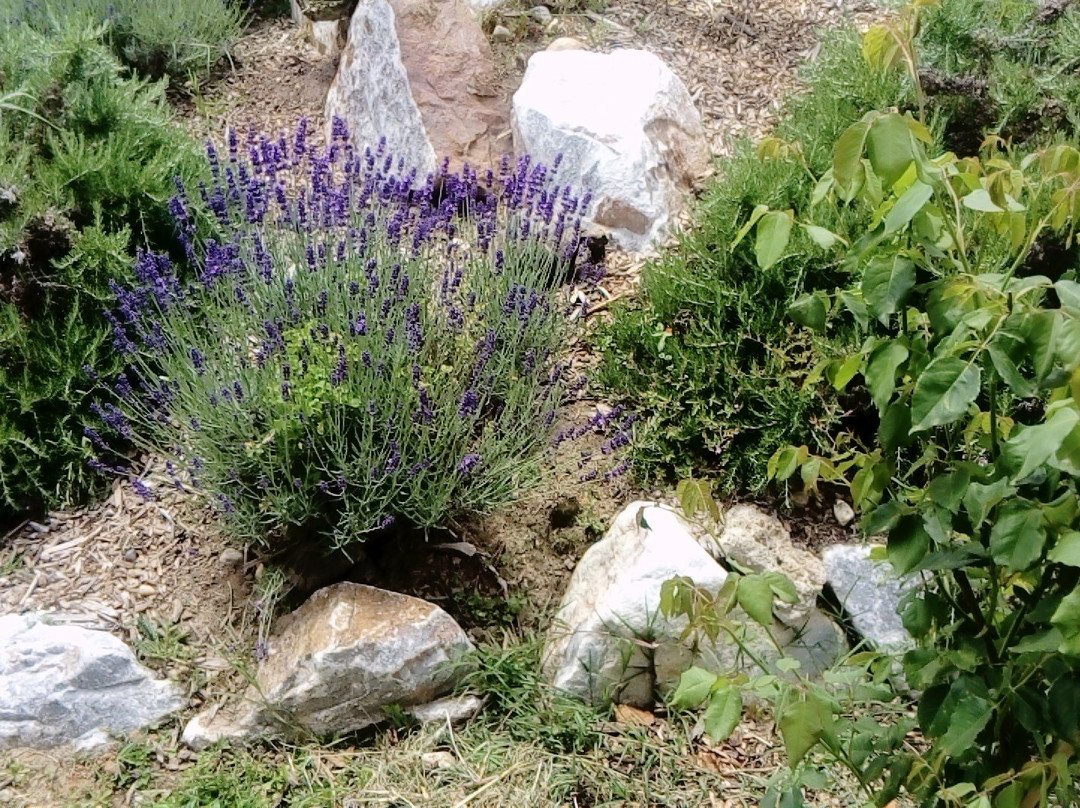 Le Refuge des Tortues-Bessieres必去景点