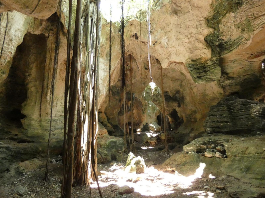 Cathedral Cave (Spider Cave)景点图片