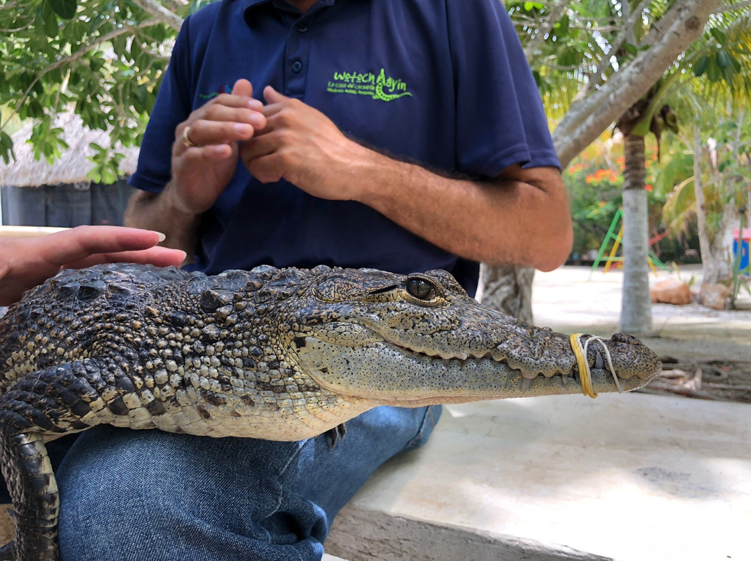 Wotoch Aayin (la Casa Del Cocodrilo)-Calkini必去景点