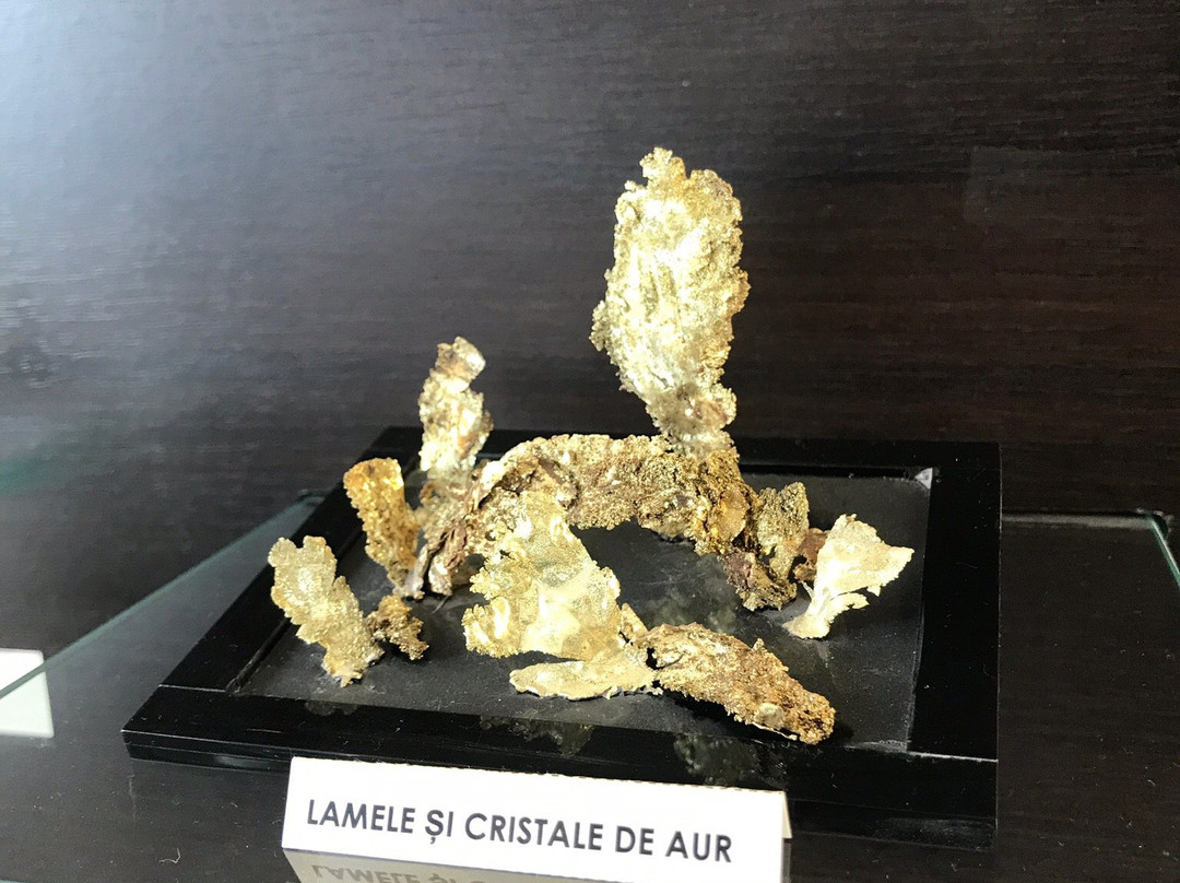 The Gold Museum-Brad必去景点