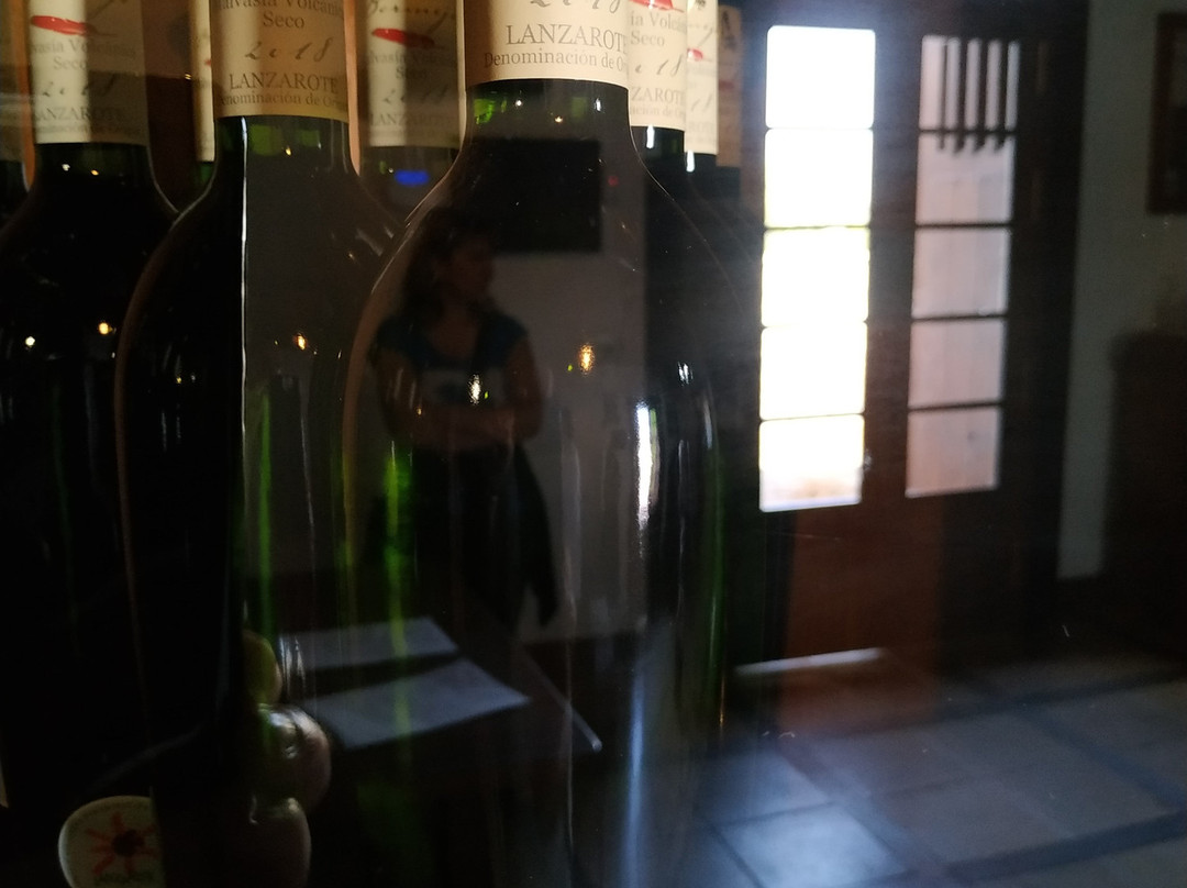 Bodegas Los Bermejos-San Bartolome必去景点