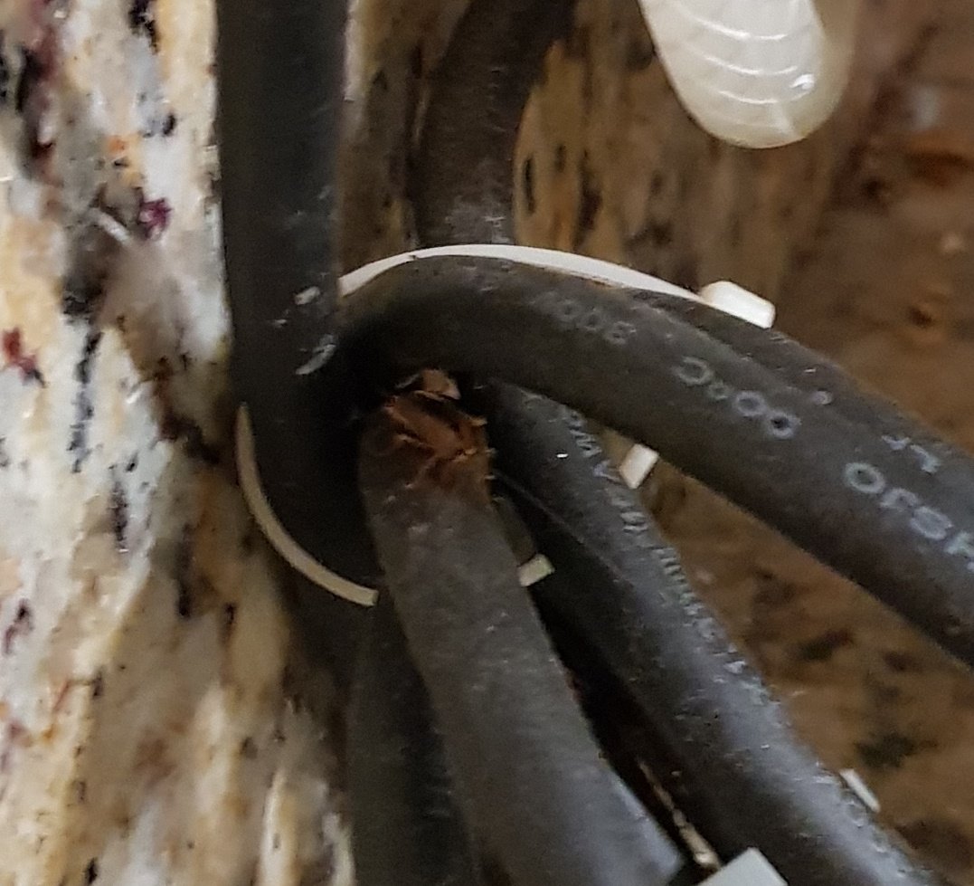 Spark by Hilton Sarasota Siesta Key Gateway-餐饮