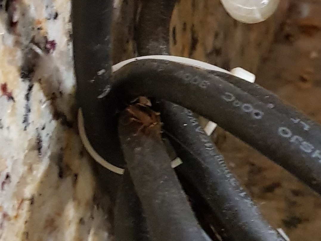 Spark by Hilton Sarasota Siesta Key Gateway主图