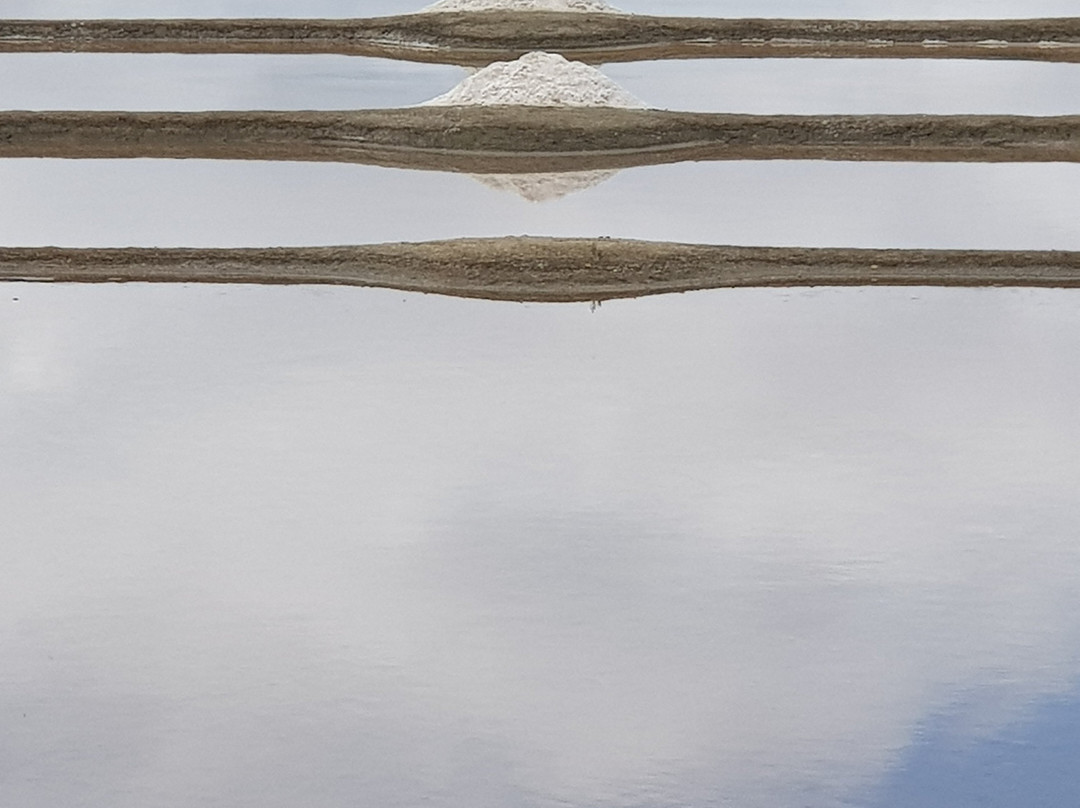 Marais Salants de Guerande景点图片