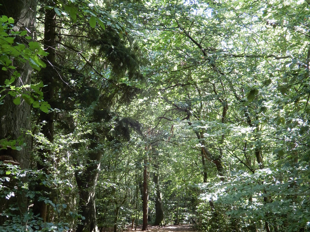 Eastham Country Park-Eastham必去景点