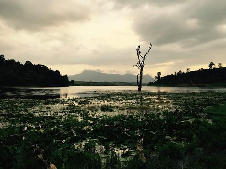 JJ Lake View Villas-酒店景观
