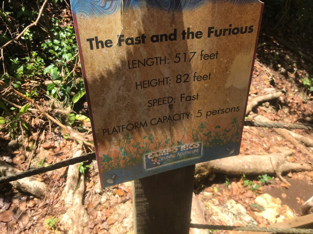 Campo Rico Ziplining Adventures-圣胡安必去景点