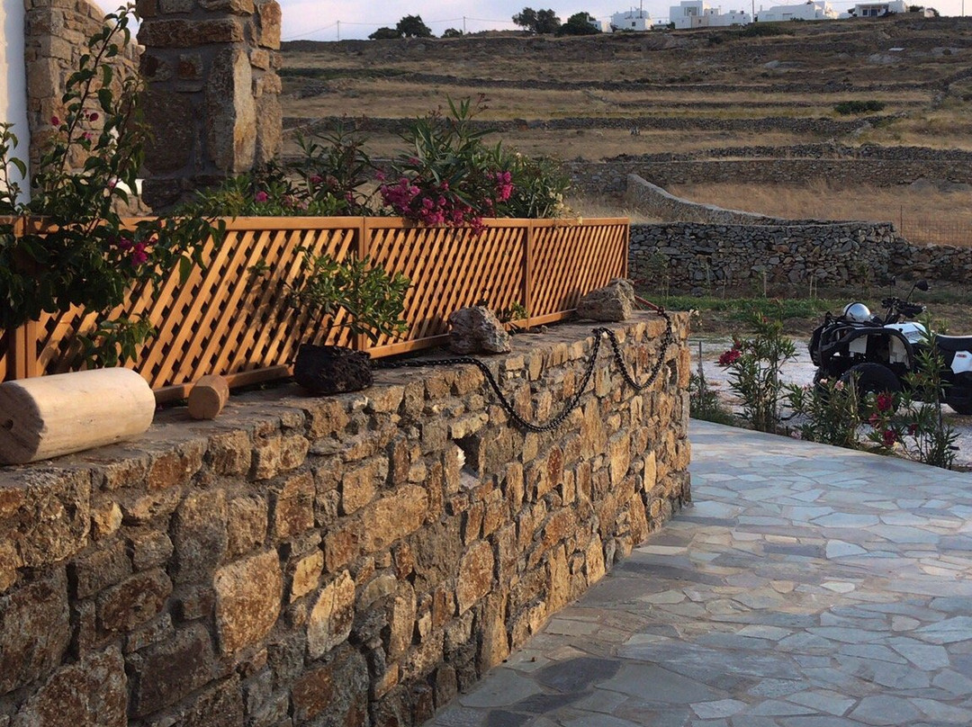 Mykonian Brothers主图