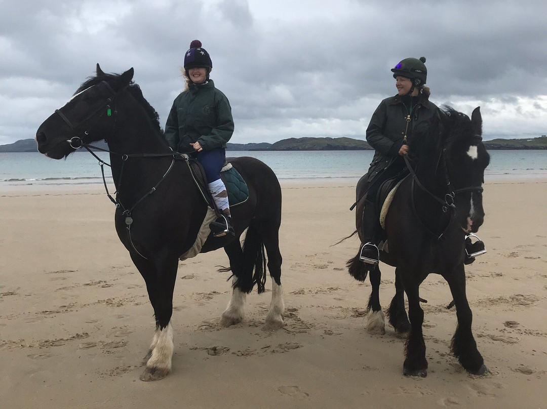 Dunfanaghy Stables-Dunfanaghy必去景点