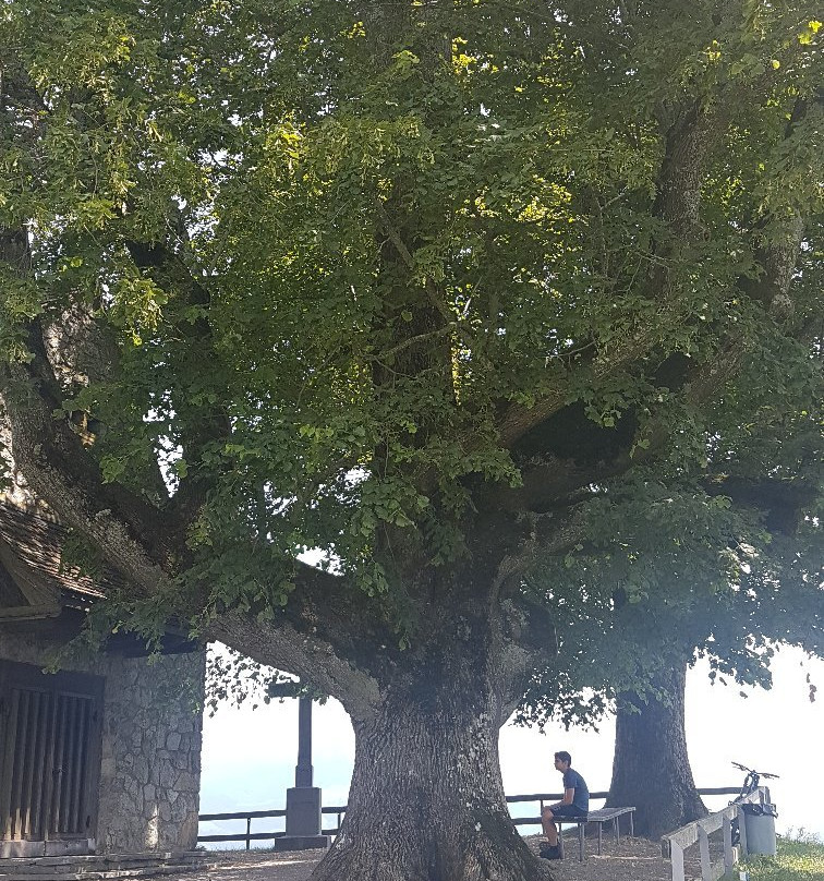 Michaelskreuz Kapelle-Root必去景点