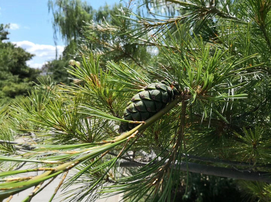 北京国际雕塑公园-北京市必去景点
