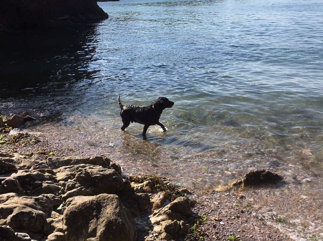 Fishcombe Cove景点图片