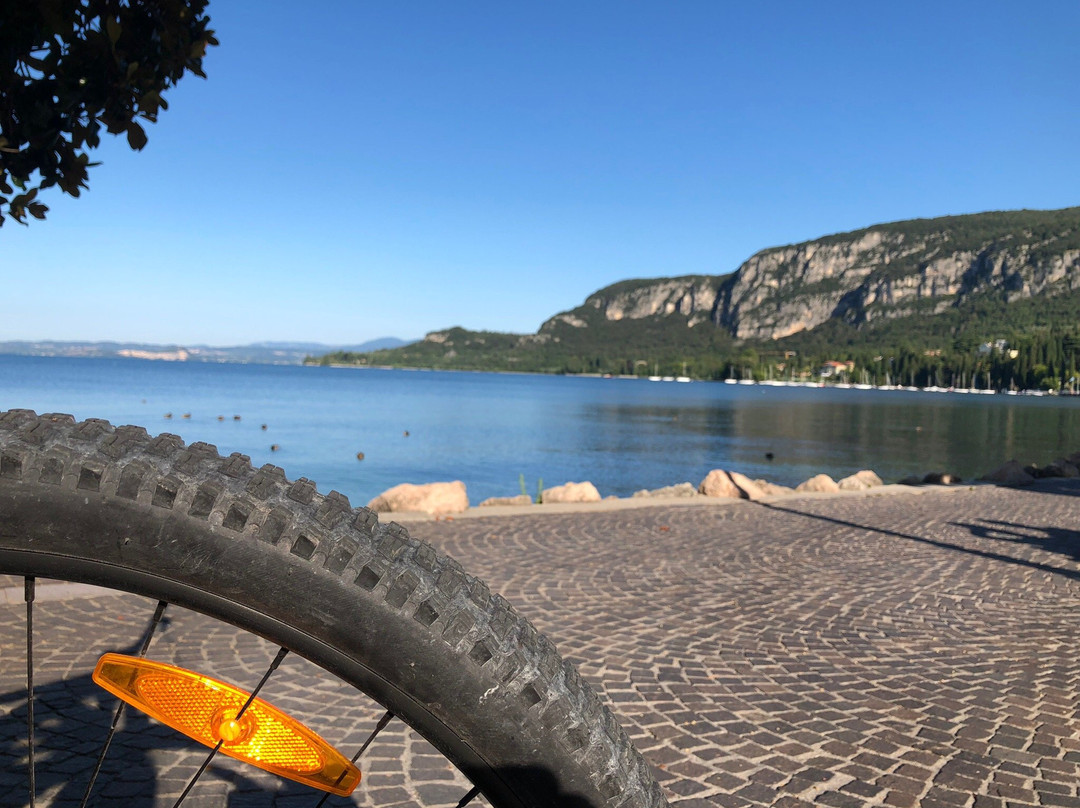 Bella Bici - Bike & Vespa Rental景点图片
