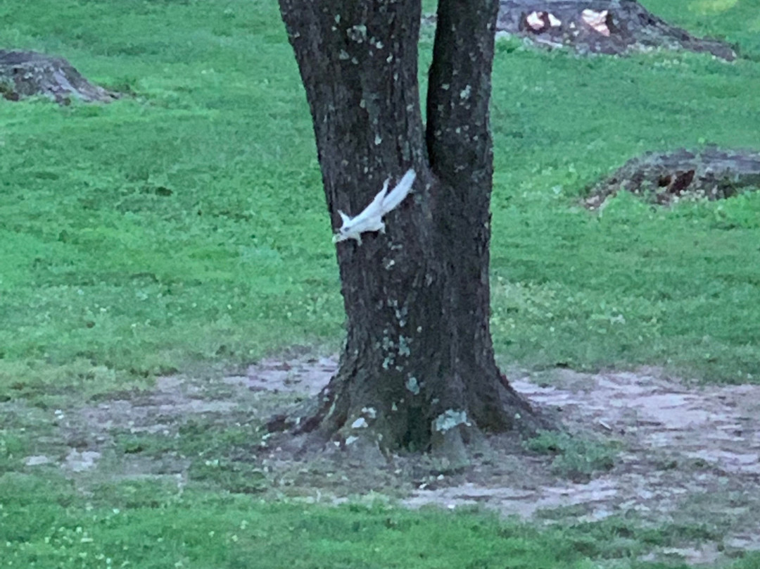 Etowah Valley Golf Club主图