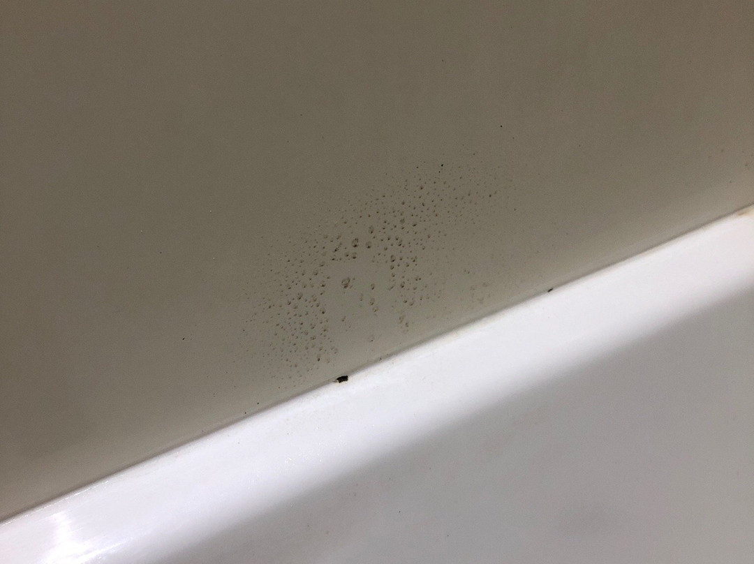 天堂棕榈树度假村主图