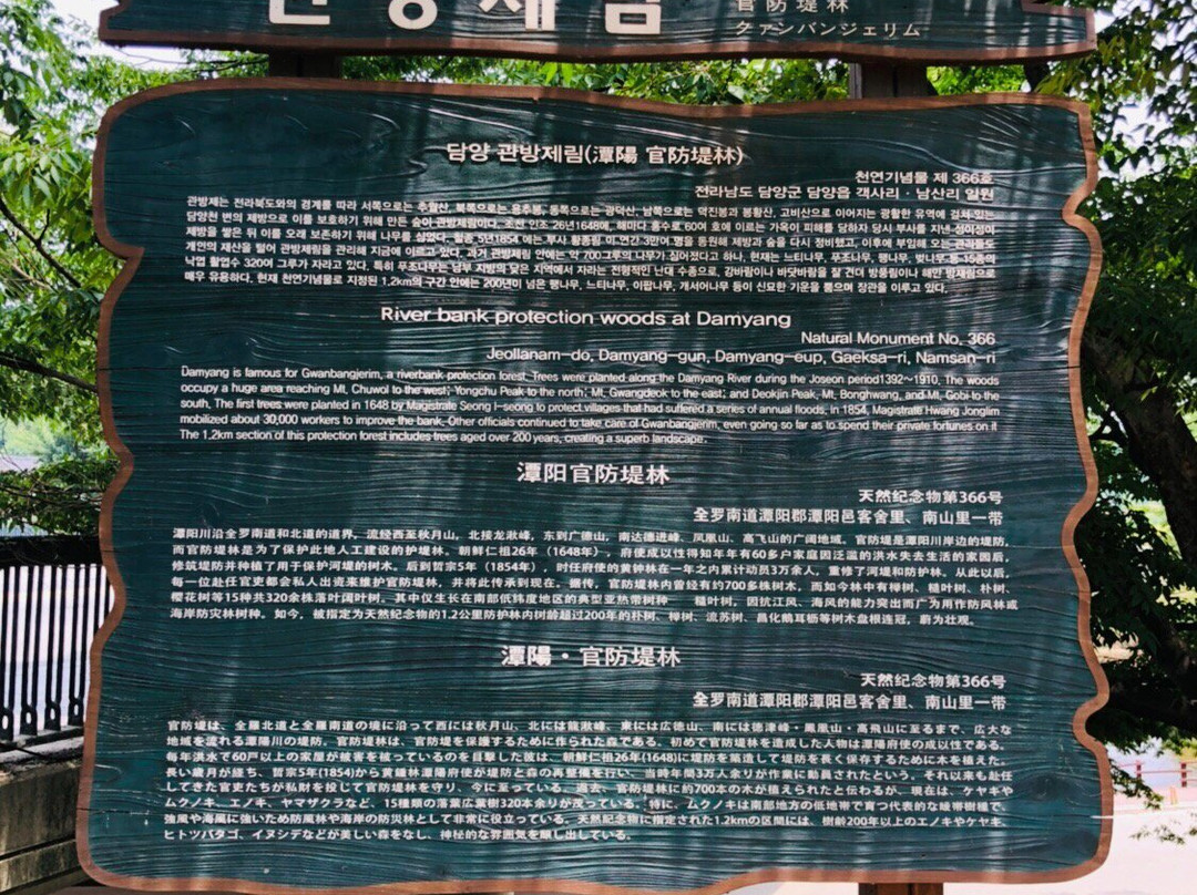 Gwanbangjerim Forest-潭阳郡必去景点