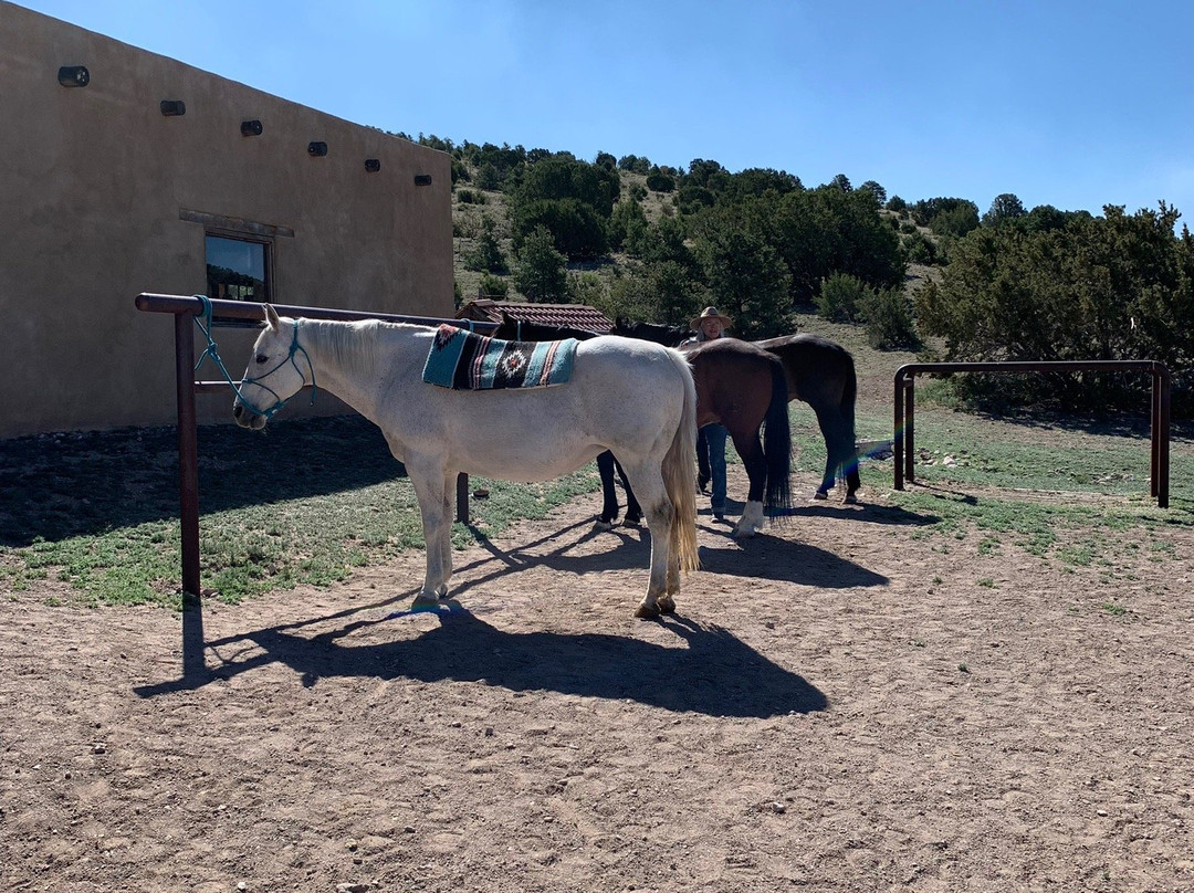 Concho Hills Guest Ranch景点图片