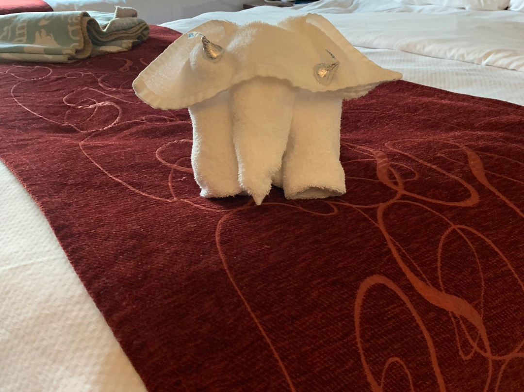 Comfort Suites Manheim - Lancaster主图