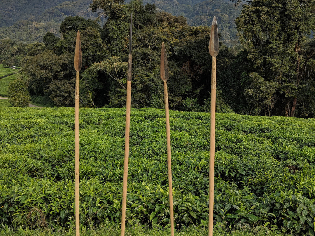 One & Only Nyungwe House主图